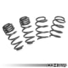 034motorsport dynamic lowering springs