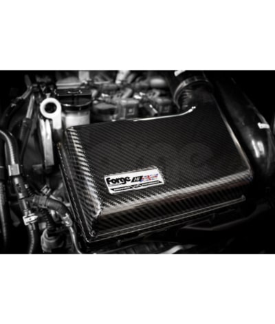 Forge Carbon FIbre Intake - MQB 1.4T