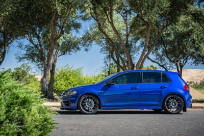 034Motorsport Dynamic+ Lowering Springs - MK7 Volkswagen Golf R