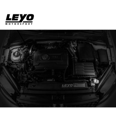 Leyo Motorsport Engine BaY Accessories Caps