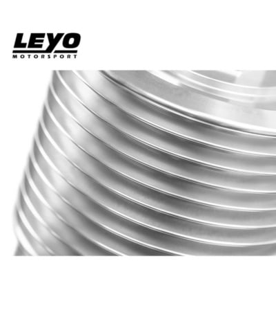 Leyo Motorsport DSG Oil Filter Housing 3