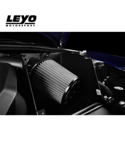 Leyo RS3 8V.1 4" Intake