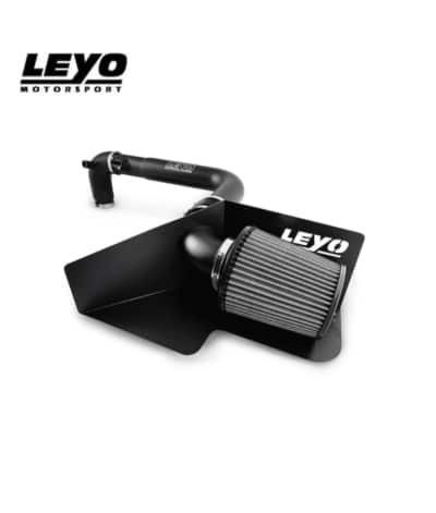 Leyo Mk5 GTI Intake