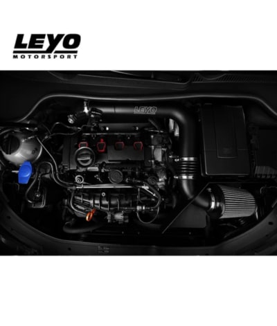 Leyo Mk5 GTI Intake