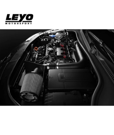 Leyo Mk5 GTI Intake