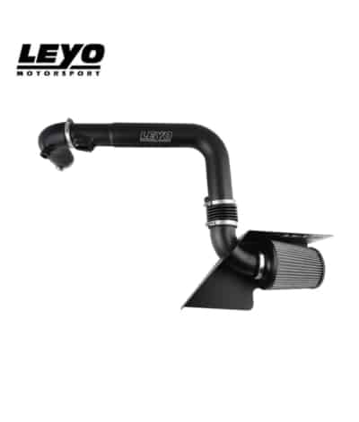 Leyo Mk5 GTI Intake