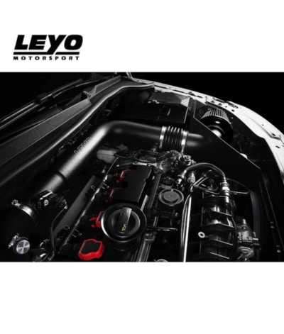 Leyo Mk5 GTI Intake