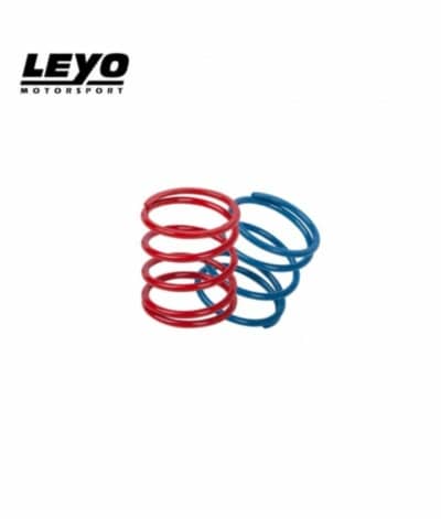 LEYO Motorsport Upgrade Spring Kit