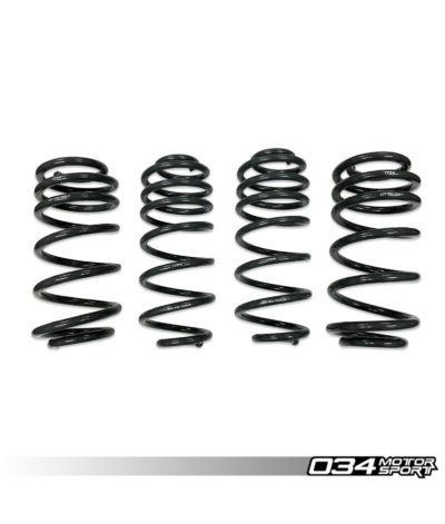 034Motorsport Dynamic+ Lowering Springs - Audi Q5/SQ5 B8/B8.5